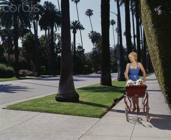 a los angeles avec sylvie vartan - Page 2