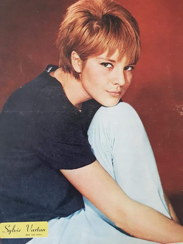 Starfan's - Buste Sylvie Vartan (Cheveux Court) - Neuf en Boite
